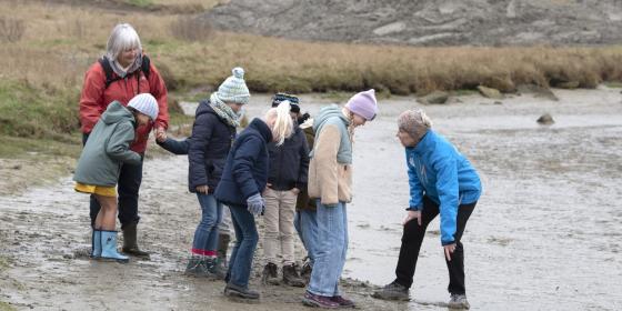 herfstvakantieplezier-voor-het-gezin-in-zwin-natuur-park:-ontdek-de-magie-van-de-natuur