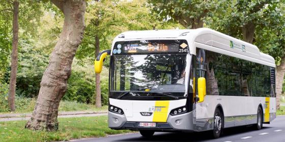 **reis-zorgeloos-naar-de-warmste-week:-ontdek-de-extra-avondlijnen-van-de-lijn-voor-optimale-mobiliteit**